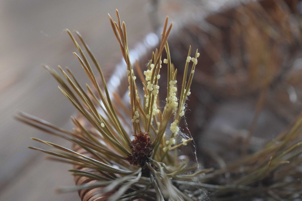 The unexpected hatching